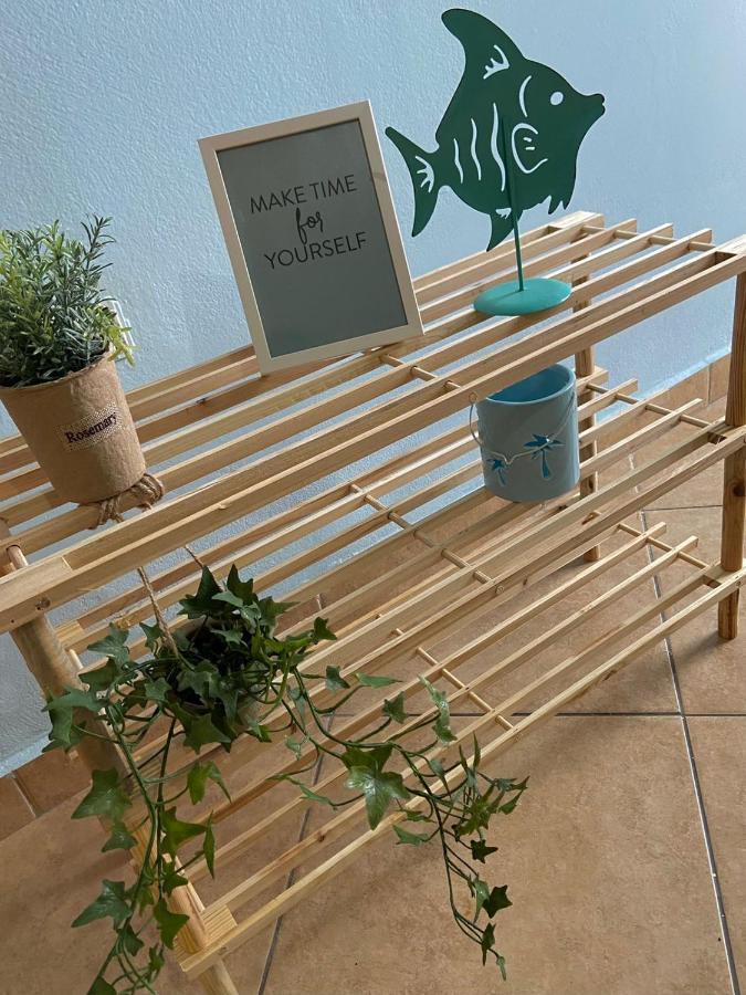 Seashell Apartment دراس المظهر الخارجي الصورة